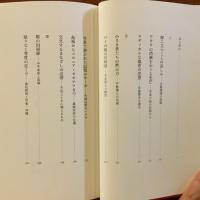 フォトネシア: 眼の回帰線・沖縄