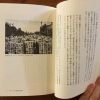 フォトネシア: 眼の回帰線・沖縄