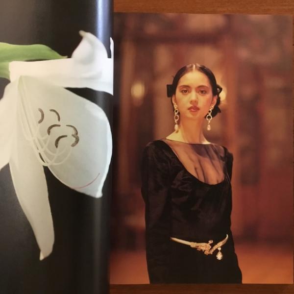 鷲尾いさ子 サンプルレコード 鷲尾いさ子 サンプルレコード