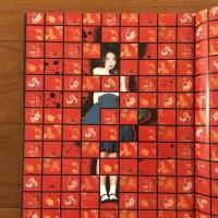 浅野温子写真集 あつあつ。(久留幸子) / 古本、中古本、古書籍の通販は