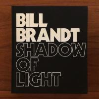 Shadow of Light 光の影