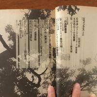 季刊 スフィンクス 創刊0号/ #0102 第2号/ 第3号/  第4号