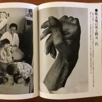 桑原史成写真全集1 水俣