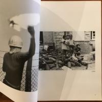 フォトネシア/ 光の記憶・時の果実 復帰30年の波動