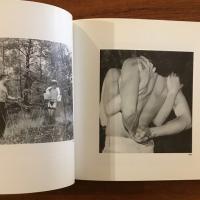Adults in Wonderland: A Retrospective