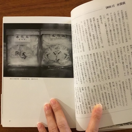 定番の中古商品 僕が写した愛しい水俣(塩田武史) / 古本、中古本、古書籍の通販 文学+小説