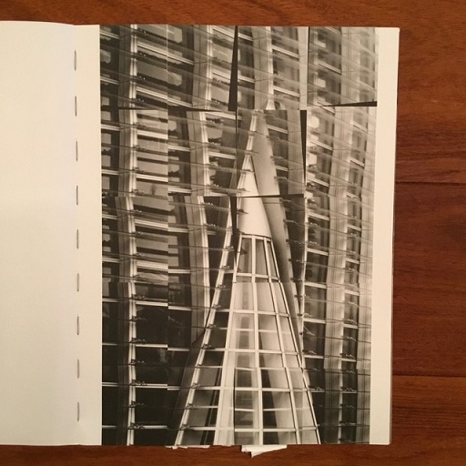 THE NARCISSISTIC CITY(TAKASHI HOMMA) / 古本、中古本、古書籍