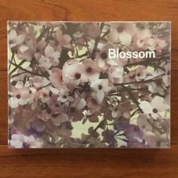 Blossom