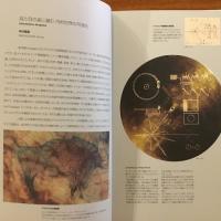 ダイアグラム information graphics　Takeo Desk Diary 2011 Vol.53 竹尾