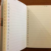 ダイアグラム information graphics　Takeo Desk Diary 2011 Vol.53 竹尾