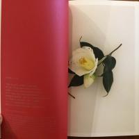 花の色・実の色・紙の色　Takeo Desk Diary 2017 Vol.59 竹尾