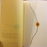 花の色・実の色・紙の色　Takeo Desk Diary 2017 Vol.59 竹尾