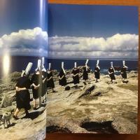 [英]Elliott Erwitt's Kolor