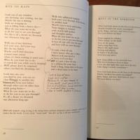 [英]A Box of Rain: Collected Lyrics of Robert Hunter