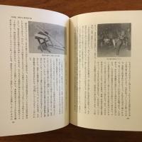 仏教民俗の領域