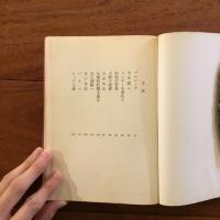 ヨーロッパ・ヒッピー宣言