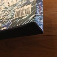 [英]Raymond Pettibon (レイモンド・ペティボン）