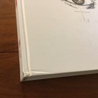 [英]Raymond Pettibon (レイモンド・ペティボン）