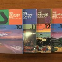 Fukuoka Style No.1-13 揃