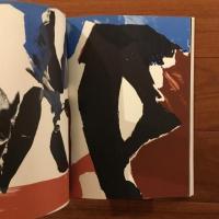 [英]NOISE Numero 13