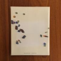 [英]Poisons + Remedies