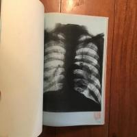 ART WORKS #48 Volume5, Number11 特集：りんご
