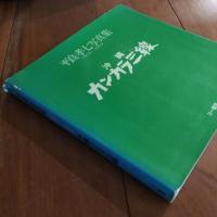 沖縄 カンカラ三線
