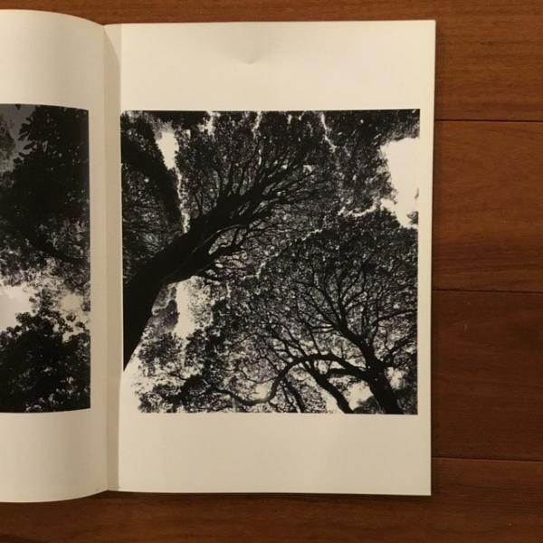 川田喜久治写真集 ラスト・コスモロジー / 古本、中古本、古書籍の通販