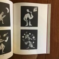 秋葉洋作品集　ガラスの大砲