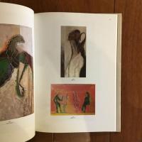 秋葉洋作品集　ガラスの大砲