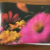Flower Show