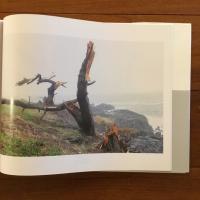 ATOKATA あとかた：篠山紀信 写真集