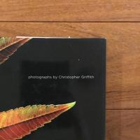 [英]fall: photographs by Christopher Griffith