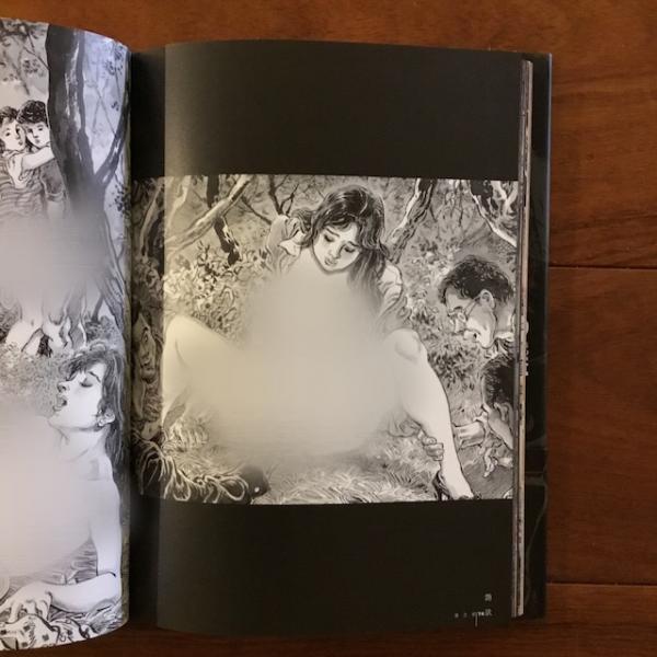 自選原画集(全1巻) 笠間しろう B4判　中古品　帯付き 笠間しろう自選原画集 艶夢 / 古本、中古本、古書籍の通販は「日本の