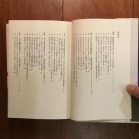 夢大陸アメリカ？: 近代生成の社会史