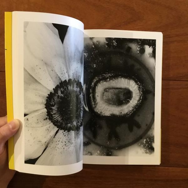 荒木経惟写真全集16巻 エロトス(荒木経惟) / 古本、中古本、古書籍の