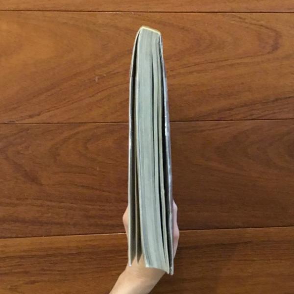 【中古】 Ｓａｓｋａｔｏｏｎ日記 １/文芸社/莢葉子 勝山健史 塩蔵繭九寸名古屋帯(オスマン草花文)- 染と織たかはし
