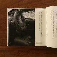 石巻片影