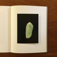 What is Man (Signed Limited edition)