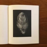 What is Man (Signed Limited edition)