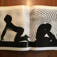 [独]OP ART AKTE :Zdenek Virt (Chez)