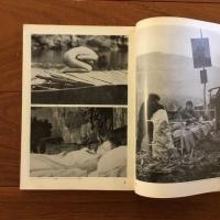 季刊フィルム4 特集：ルイス・ブニュエル、転換期のシネマ