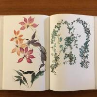 [英]Flora