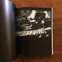 [英]IONESCO