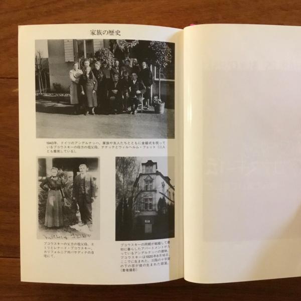 ブコウスキー伝 : 飲んで書いて愛して(ハワード・スーンズ