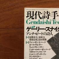 現代詩手帖 1996年3月号　特集: ゲーリー・スナイダー