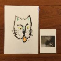 もしもねこが　そらを　とべたら (限定特装版）