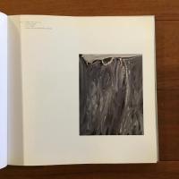 Sam Francis Paitings 1947-1990