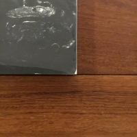 特別展 三木富雄