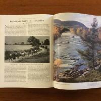 [英]The FIELD Annual 1951